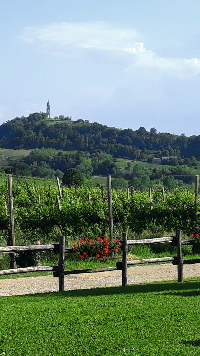 Vittorio veneto e le Colline del Prosecco DOCG